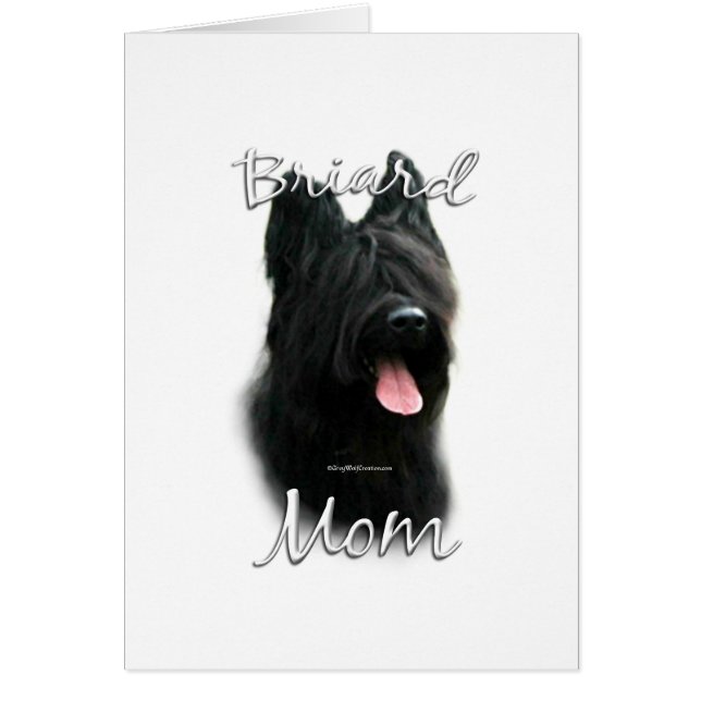 Briard Mama 2 (Vorne)