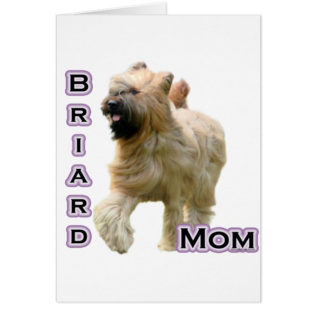 Briard Mama 4 (Vorne)