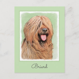 Briard Painting - Niedliche Original Dog Art Postkarte