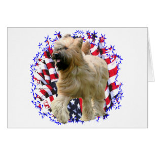 Briard Patriot