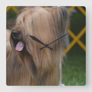 Briard Quadratische Wanduhr