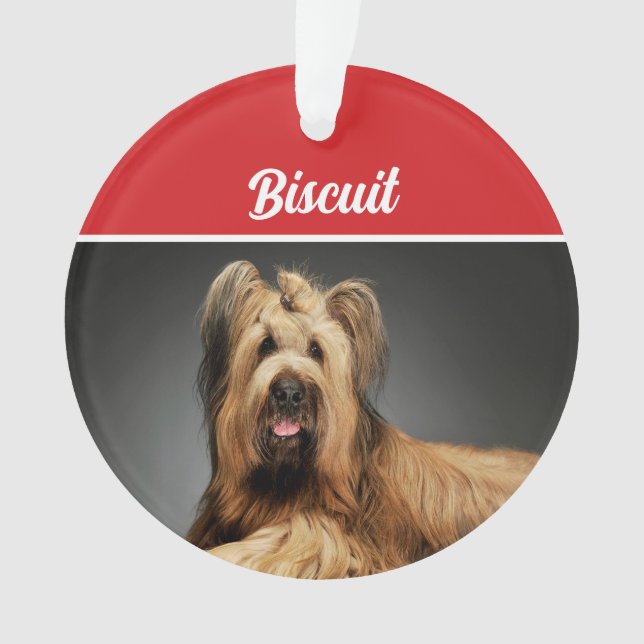 Briard Shepherd Dog Holiday Foto Weihnachten Ornament (Vorderseite)
