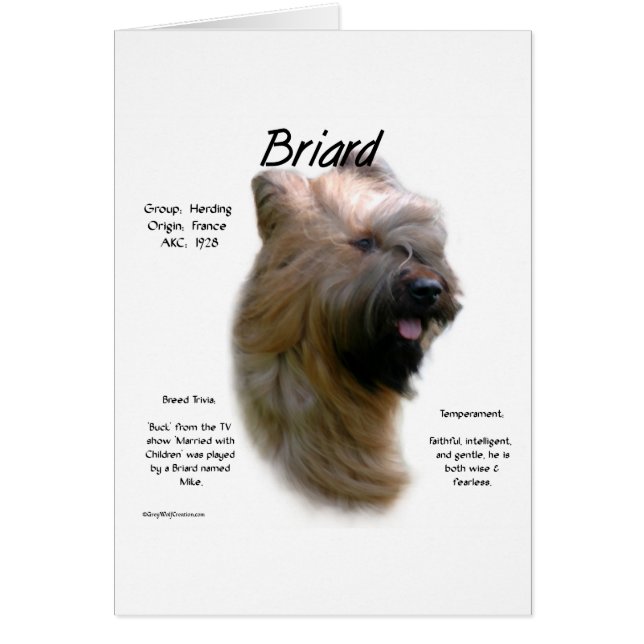 Briard (Tawny) Historisches Design (Vorne)