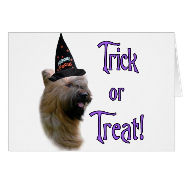 Briard Trick (Vorderseite (Horizontal))