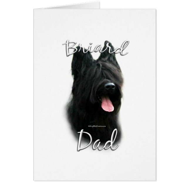 Briard Vater 2 (Vorne)