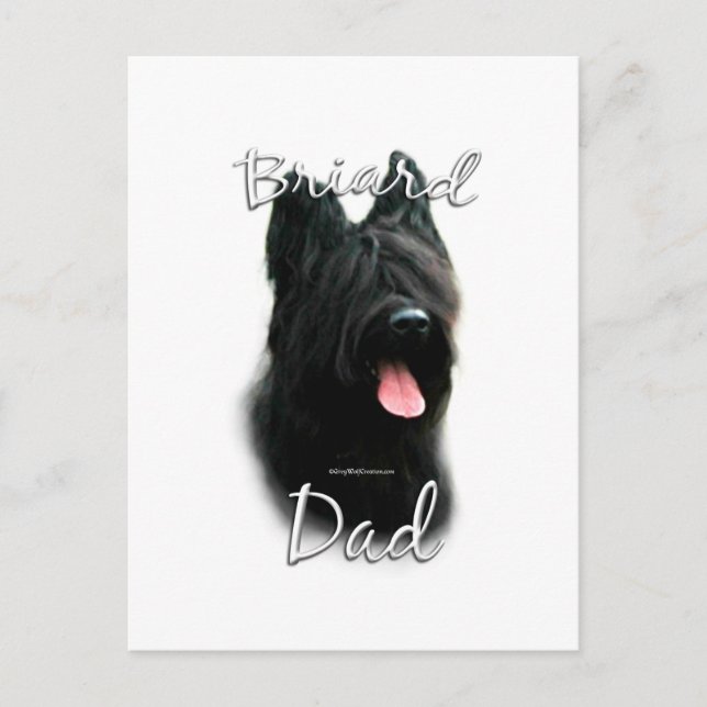 Briard Vater 2 Postkarte (Vorderseite)