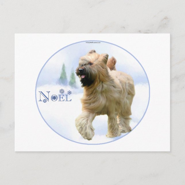 Briard Weihnachten (Vorderseite)