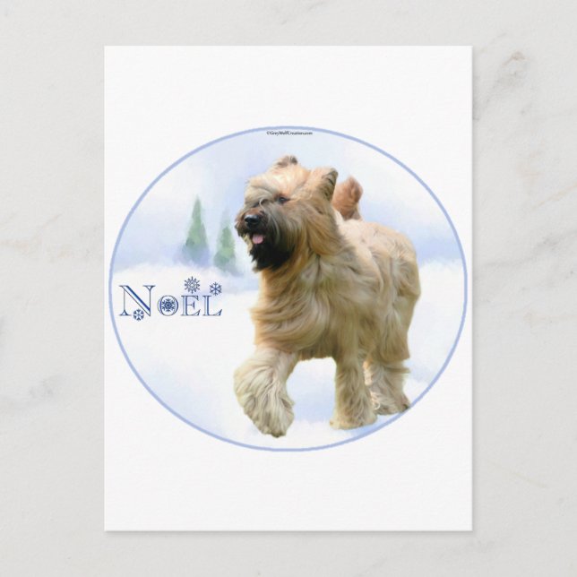 Briard Weihnachten (Vorderseite)