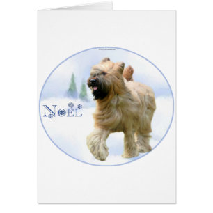 Briard Weihnachten