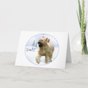 Briard Weihnachten