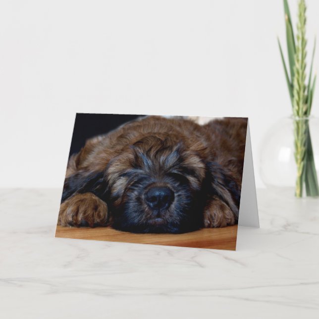 briard Welpe Karte (Vorderseite)