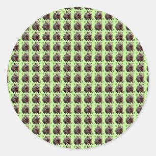 Brickwork Burrow: Eine Wombat's grüne Leinwand, Runder Aufkleber