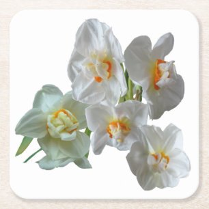 Bridal Crown Daffodien Nah Papier Untersetzer