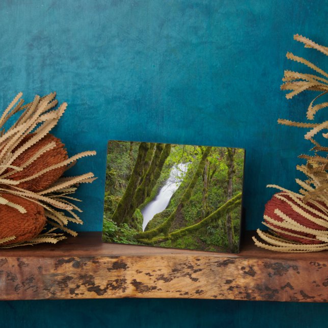 Bridal Veil Falls Fotoplatte (Seite)