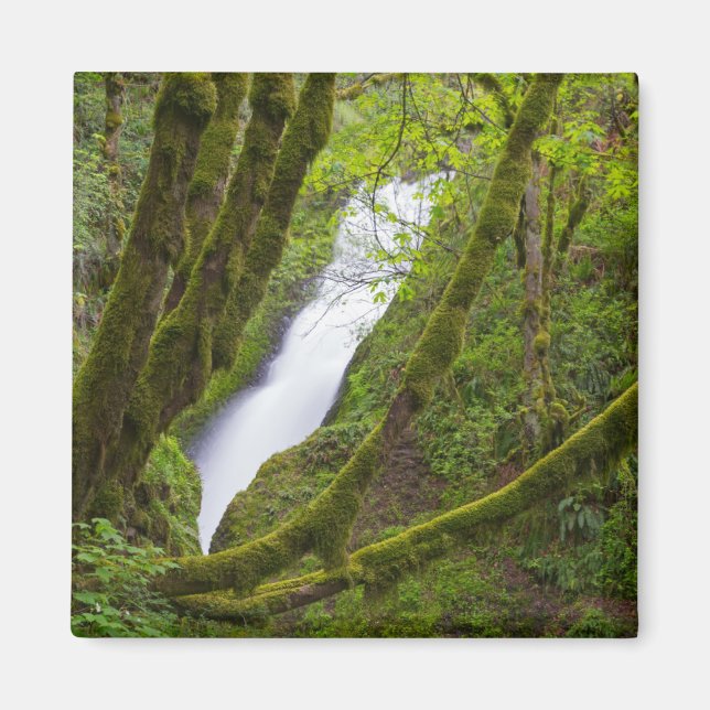 Bridal Veil Falls Magnet (Vorne)