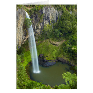 Bridal Veil Falls, Neuseeland