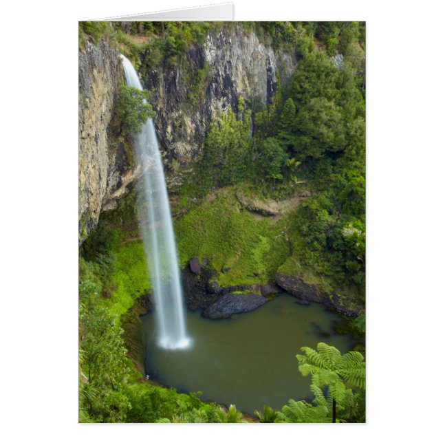 Bridal Veil Falls, Neuseeland (Vorne)