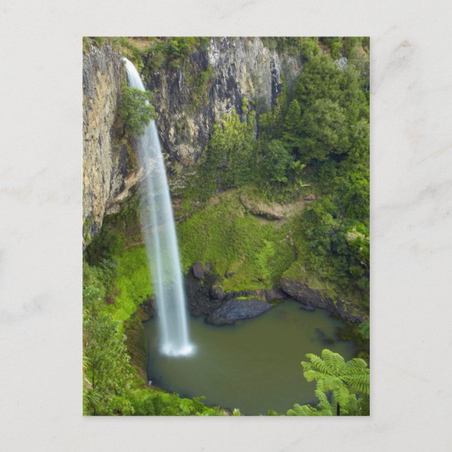 Bridal Veil Falls, Neuseeland Postkarte (Vorderseite)