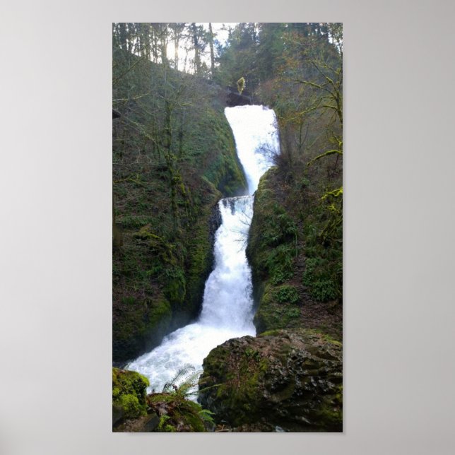 Bridal Veil Falls, Oregon Poster (Vorne)