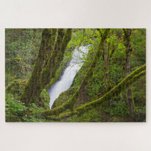 Bridal Veil Falls Puzzle