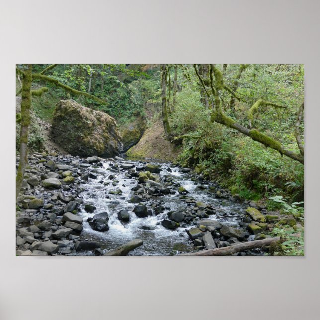 Bridal Veil Falls Trail, Oregon Poster (Vorne)