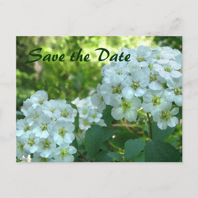 Bridal Wreath Save the Date Ankündigungspostkarte (Vorderseite)
