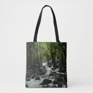 Bridalveil Creek im Yosemite National Park