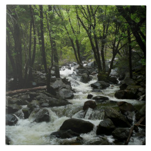 Bridalveil Creek im Yosemite National Park Fliese
