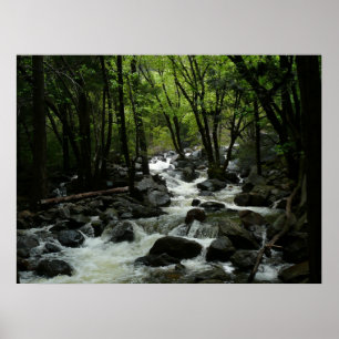 Bridalveil Creek im Yosemite National Park Poster