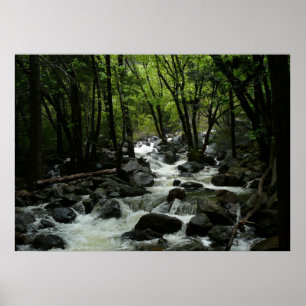 Bridalveil Creek im Yosemite National Park Poster