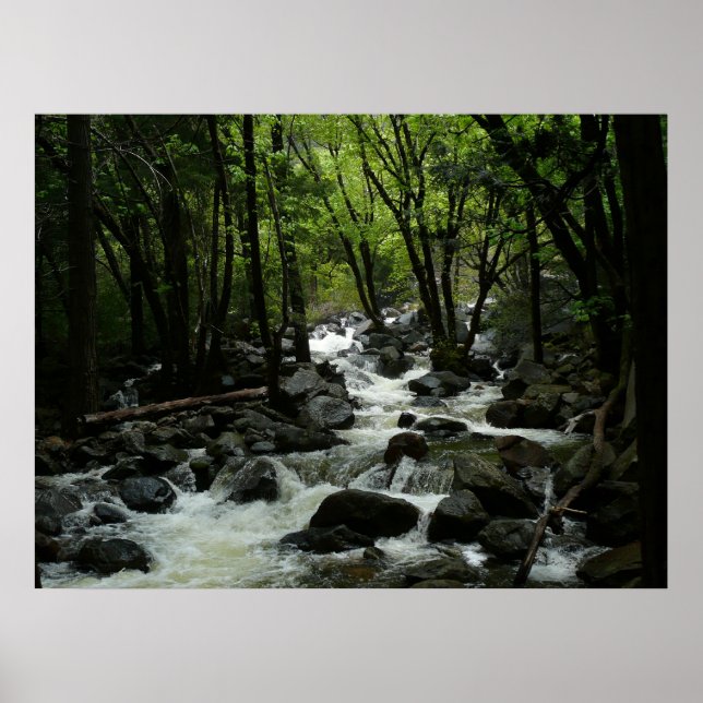 Bridalveil Creek im Yosemite-Nationalpark Poster (Vorne)