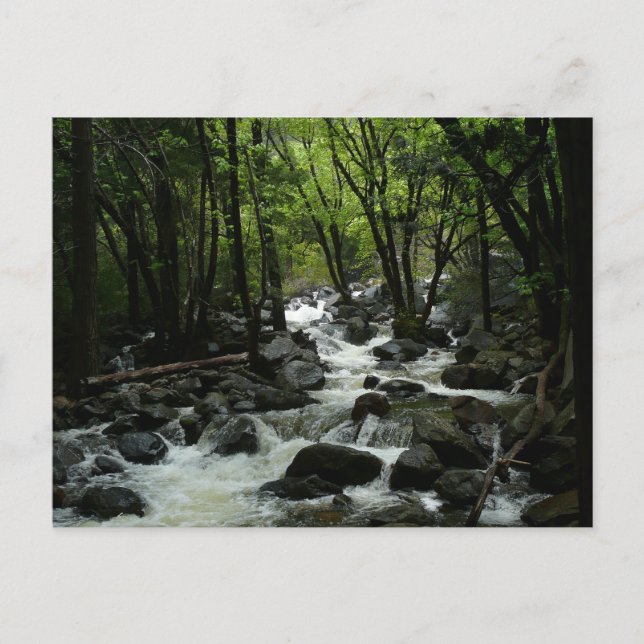 Bridalveil Creek im Yosemite-Nationalpark Postkarte (Vorderseite)