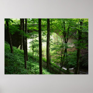 Bridge Arch Green Forest Poster 36" x 24"