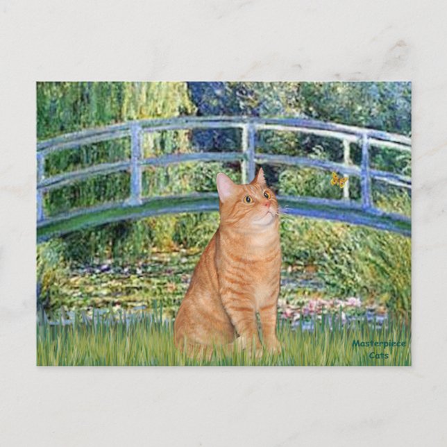 Bridge - Orange Tabby SH cat 46 Postkarte (Vorderseite)