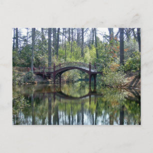 Bridge-Postkarten Postkarte