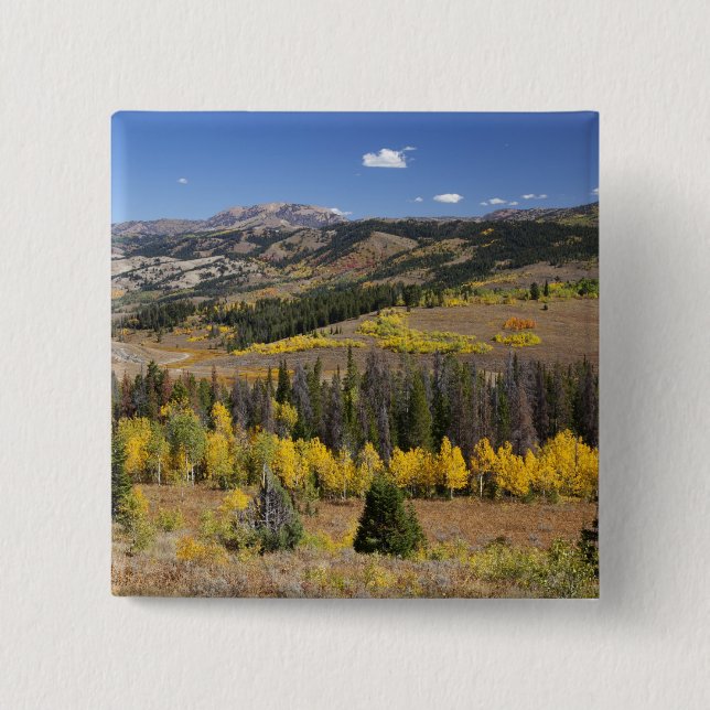 Bridger-Teton National Forest Button (Vorderseite)