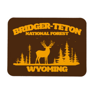 Bridger-Teton-Nationalwald Magnet