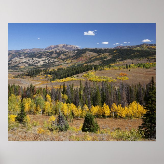 Bridger-Teton-Nationalwald Poster (Vorne)