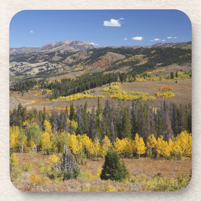 Bridger-Teton-Nationalwald Untersetzer (Vorderseite)