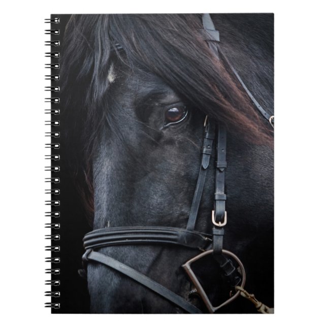 Bridled Black Stallion Face Notizblock (Vorderseite)