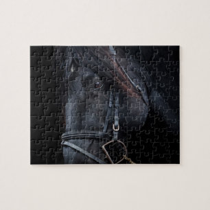 Bridled Black Stallion Face Puzzle