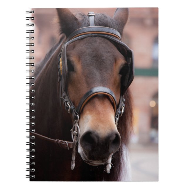 Bridled Notizblock (Vorderseite)