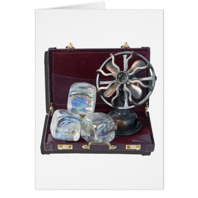 BriefcaseIceCubesFan081914.png (Vorne)