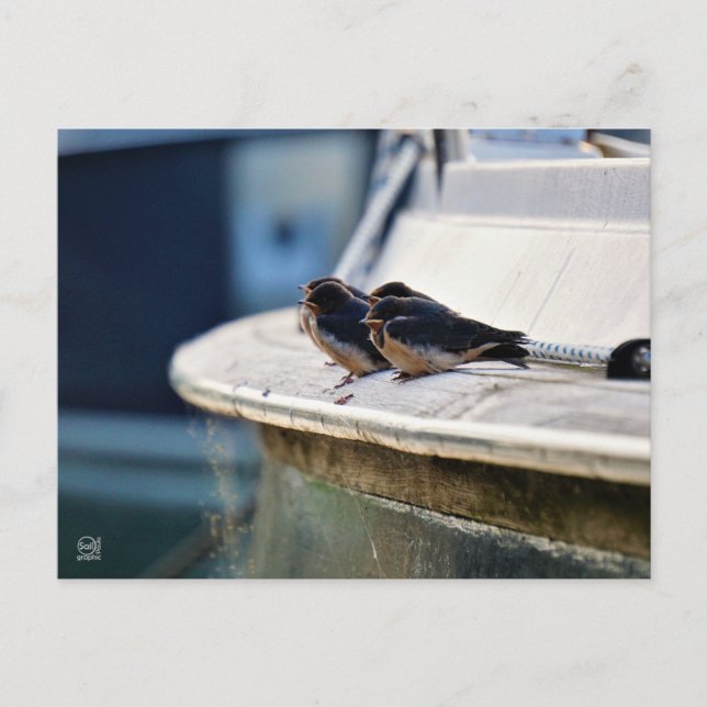 Briefkaart Postkarte (Vorderseite)