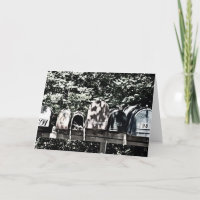 Briefkästen auf dem Weinberg Gruß