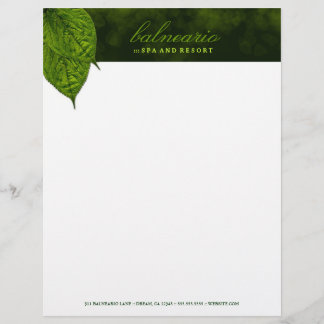 Briefkopf des Blatt-311-Dream