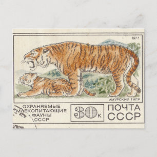Briefmarke amur postkarte