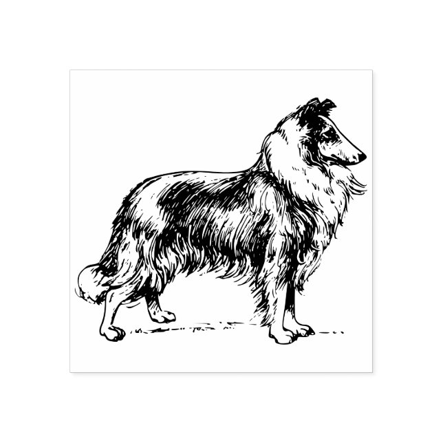 Briefmarke aus Collie-Hund Gummistempel (Prägung)