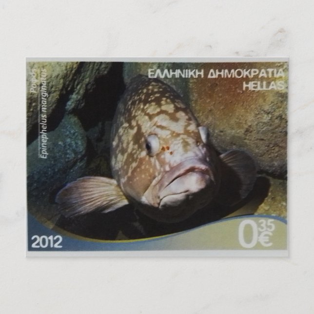 Briefmarke Dusky Grouper Postkarte (Vorderseite)
