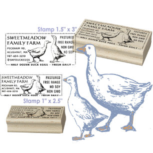 Briefmarke für Vintage Enten Eierkarton halbes Dut Gummistempel